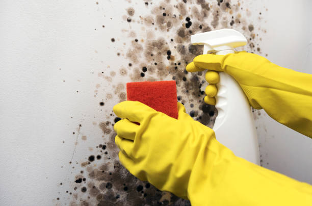Grants Pass, OR Mold Remediation Company